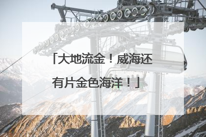 大地流金！威海还有片金色海洋！