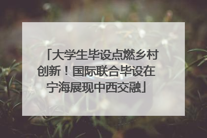 大学生毕设点燃乡村创新！国际联合毕设在宁海展现中西交融