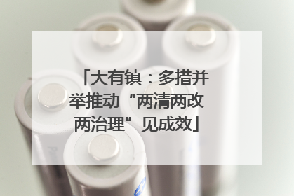 大有镇：多措并举推动“两清两改两治理”见成效