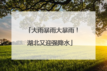 大雨暴雨大暴雨！湖北又迎强降水