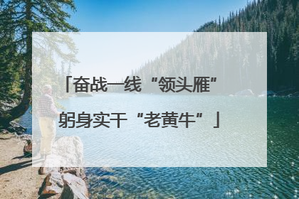 奋战一线“领头雁” 躬身实干“老黄牛”
