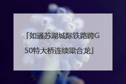 如通苏湖城际铁路跨G50特大桥连续梁合龙