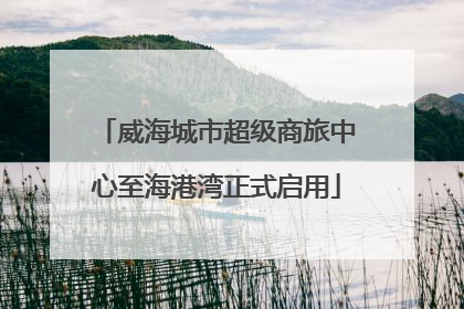 威海城市超级商旅中心至海港湾正式启用