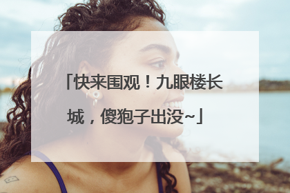 快来围观！九眼楼长城，傻狍子出没~