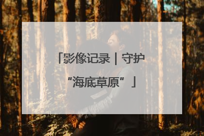 影像记录｜守护“海底草原”