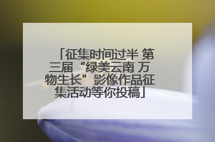征集时间过半 第三届“绿美云南 万物生长”影像作品征集活动等你投稿