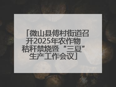微山县傅村街道召开2025年农作物秸秆禁烧暨“三夏”生产工作会议