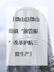 微山县微山岛镇“放管服”改革护航三夏生产