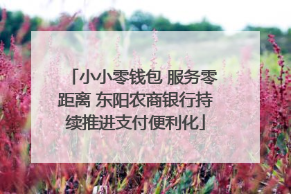 小小零钱包 服务零距离 东阳农商银行持续推进支付便利化