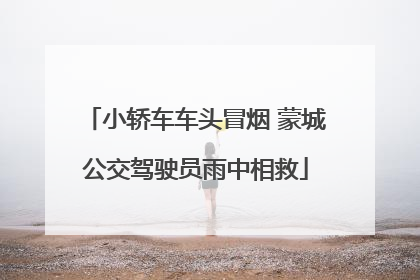 小轿车车头冒烟 蒙城公交驾驶员雨中相救