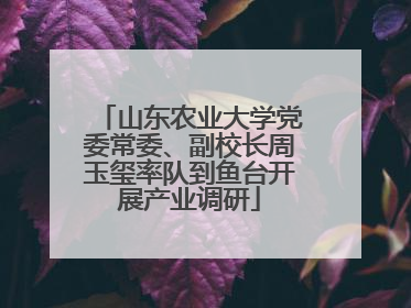 山东农业大学党委常委、副校长周玉玺率队到鱼台开展产业调研