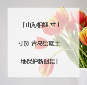 山海相拥·寸土寸珍 青岛绘就土地保护新图景