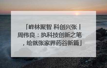 峰林聚智 科创兴张丨周伟良：执科技创新之笔，绘就张家界药谷新篇