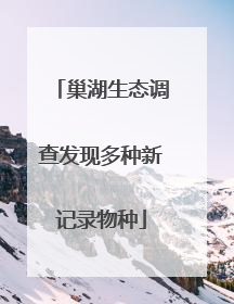 巢湖生态调查发现多种新记录物种