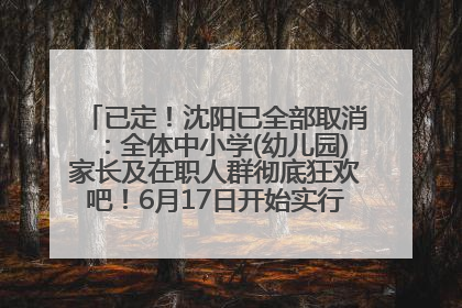 已定！沈阳已全部取消：全体中小学(幼儿园)家长及在职人群彻底狂欢吧！6月17日开始实行！18岁及以上可参加25年学历提升报名！