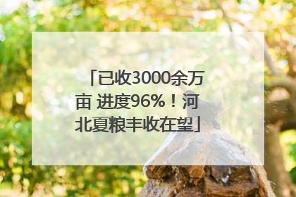 已收3000余万亩 进度96%！河北夏粮丰收在望