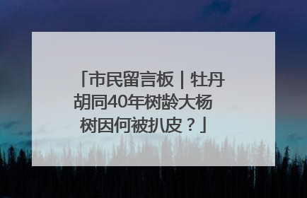 市民留言板｜牡丹胡同40年树龄大杨树因何被扒皮？