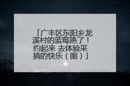 广丰区东阳乡龙溪村的蓝莓熟了！约起来 去体验采摘的快乐（图）