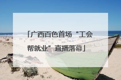 广西百色首场“工会帮就业”直播落幕
