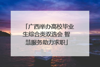 广西举办高校毕业生综合类双选会 智慧服务助力求职