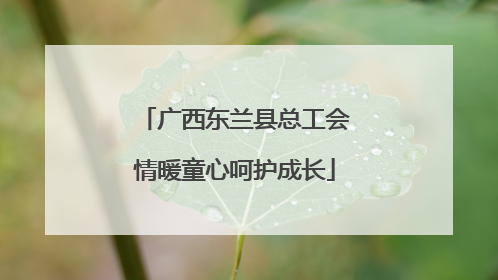 广西东兰县总工会情暖童心呵护成长