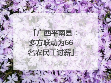 广西平南县：多方联动为66名农民工讨薪
