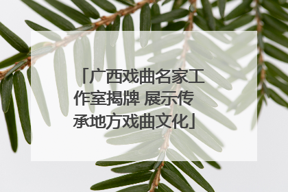 广西戏曲名家工作室揭牌 展示传承地方戏曲文化