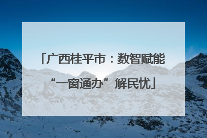广西桂平市：数智赋能“一窗通办”解民忧