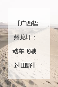 广西梧州龙圩：动车飞驰过田野