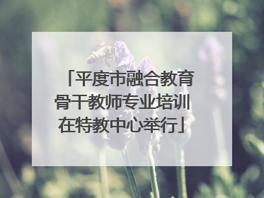 平度市融合教育骨干教师专业培训在特教中心举行
