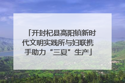 开封杞县高阳镇新时代文明实践所与妇联携手助力“三夏”生产