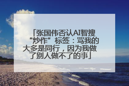 张国伟否认AI智搜“炒作”标签：骂我的大多是同行，因为我做了别人做不了的事