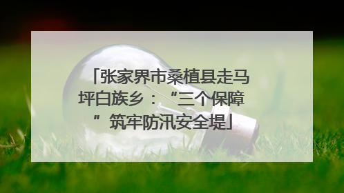 张家界市桑植县走马坪白族乡：“三个保障”筑牢防汛安全堤