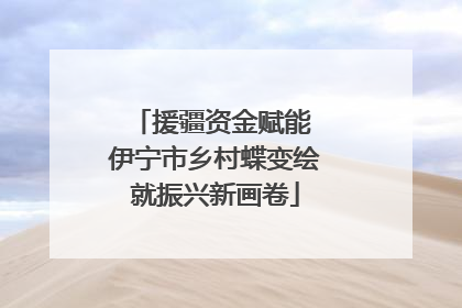 援疆资金赋能 伊宁市乡村蝶变绘就振兴新画卷