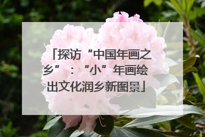 探访“中国年画之乡”：“小”年画绘出文化润乡新图景