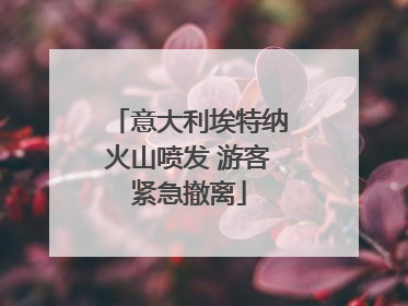 意大利埃特纳火山喷发 游客紧急撤离