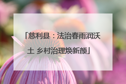 慈利县：法治春雨润沃土 乡村治理焕新颜
