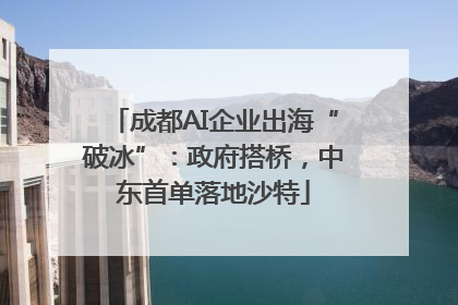 成都AI企业出海“破冰”：政府搭桥，中东首单落地沙特