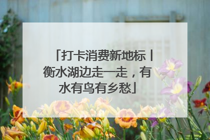 打卡消费新地标丨衡水湖边走一走，有水有鸟有乡愁