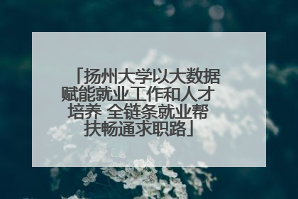 扬州大学以大数据赋能就业工作和人才培养 全链条就业帮扶畅通求职路