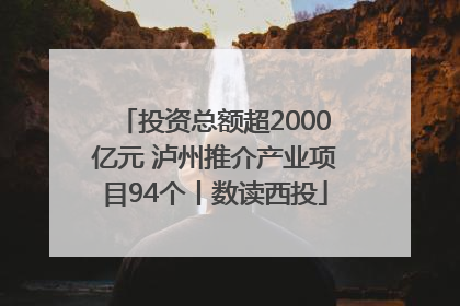 投资总额超2000亿元 泸州推介产业项目94个丨数读西投