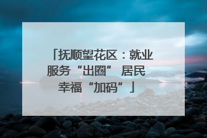 抚顺望花区：就业服务“出圈” 居民幸福“加码”