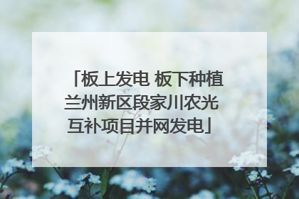 板上发电 板下种植 兰州新区段家川农光互补项目并网发电