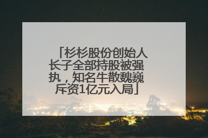 杉杉股份创始人长子全部持股被强执，知名牛散魏巍斥资1亿元入局