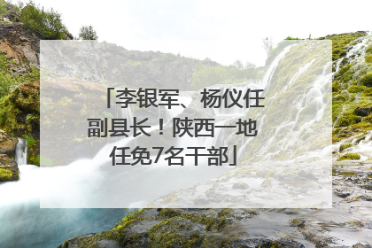 李银军、杨仪任副县长！陕西一地任免7名干部