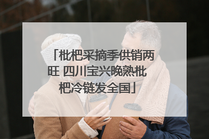 枇杷采摘季供销两旺 四川宝兴晚熟枇杷冷链发全国