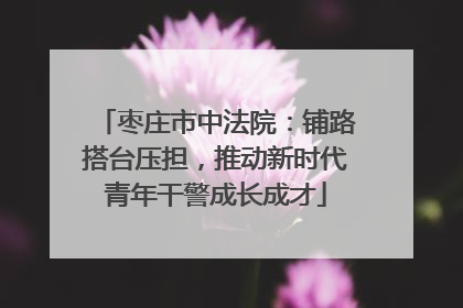 枣庄市中法院：铺路搭台压担，推动新时代青年干警成长成才