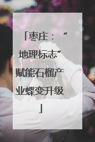 枣庄：“地理标志”赋能石榴产业蝶变升级