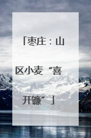 枣庄：山区小麦“喜开镰”