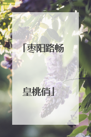 枣阳路畅皇桃俏